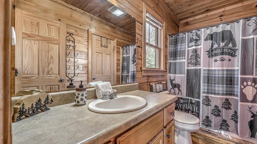 203 Chimney Rock Court Blue Ridge, GA 30513 - Photo 35 of 52 a bathroom with a sink and a mirror