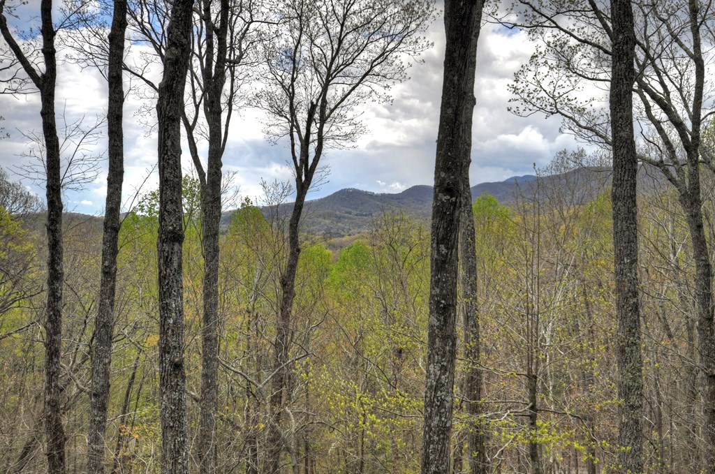 203 Chimney Rock Court Blue Ridge, GA 30513 - Photo 49 of 52 a view of lake from balcony