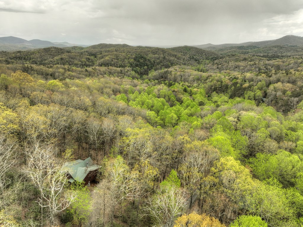 203 Chimney Rock Court Blue Ridge, GA 30513 - Photo 50 of 52