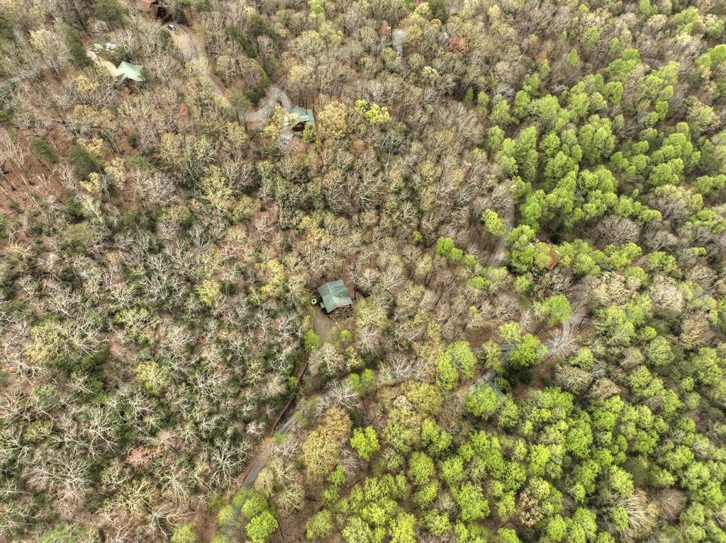 203 Chimney Rock Court Blue Ridge, GA 30513 - Photo 51 of 52 a view of a yard