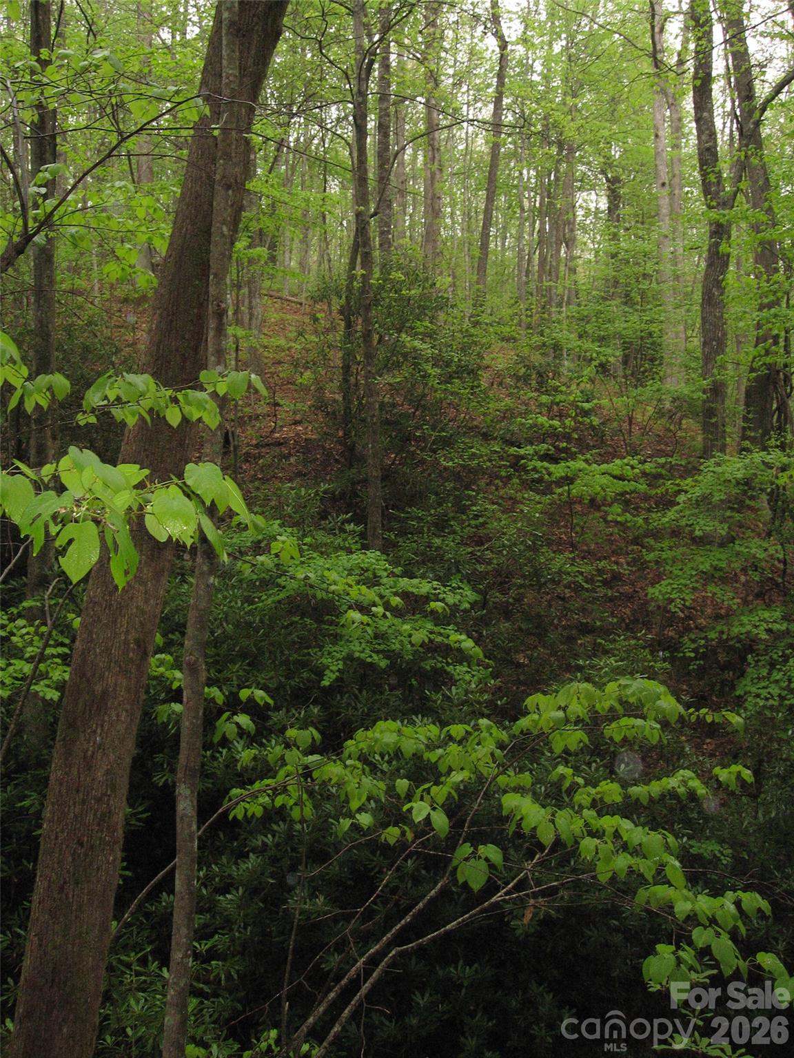 313 Line Runner Ridge Road Brevard, NC 28712 - Photo 26 of 33