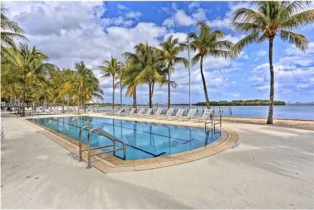 a view of a swimming pool with a lawn chair and palm tree