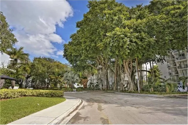 a view of a garden with plants