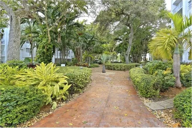 a view of outdoor space with palm trees