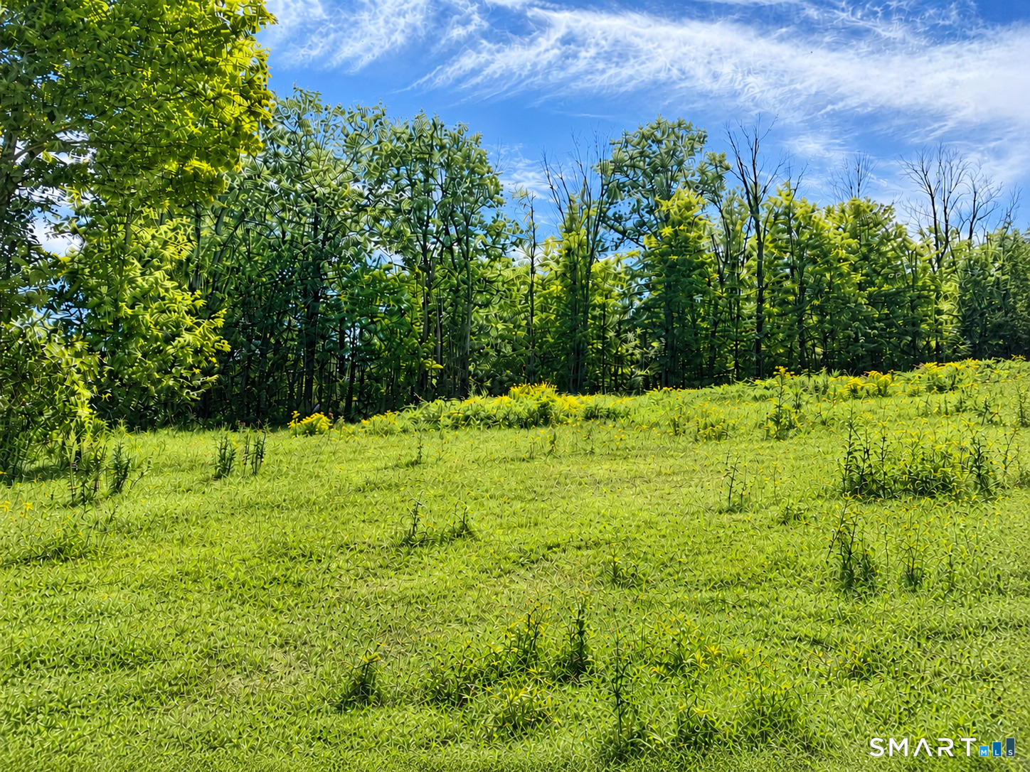 0 Colebrook Road Colebrook, CT 06021 - Photo 3 of 3