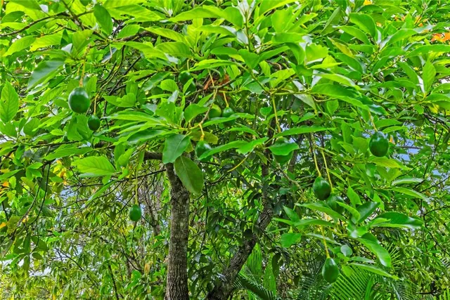 $2,399,999 | 5730 Golden Gate Parkway, Naples, FL 34116