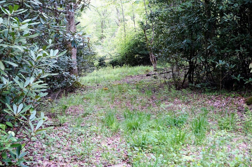 2 Dolinger Road, Unit 2D&2G Whitetop, VA 24292 - Photo 4 of 22 Gallery Image 4
