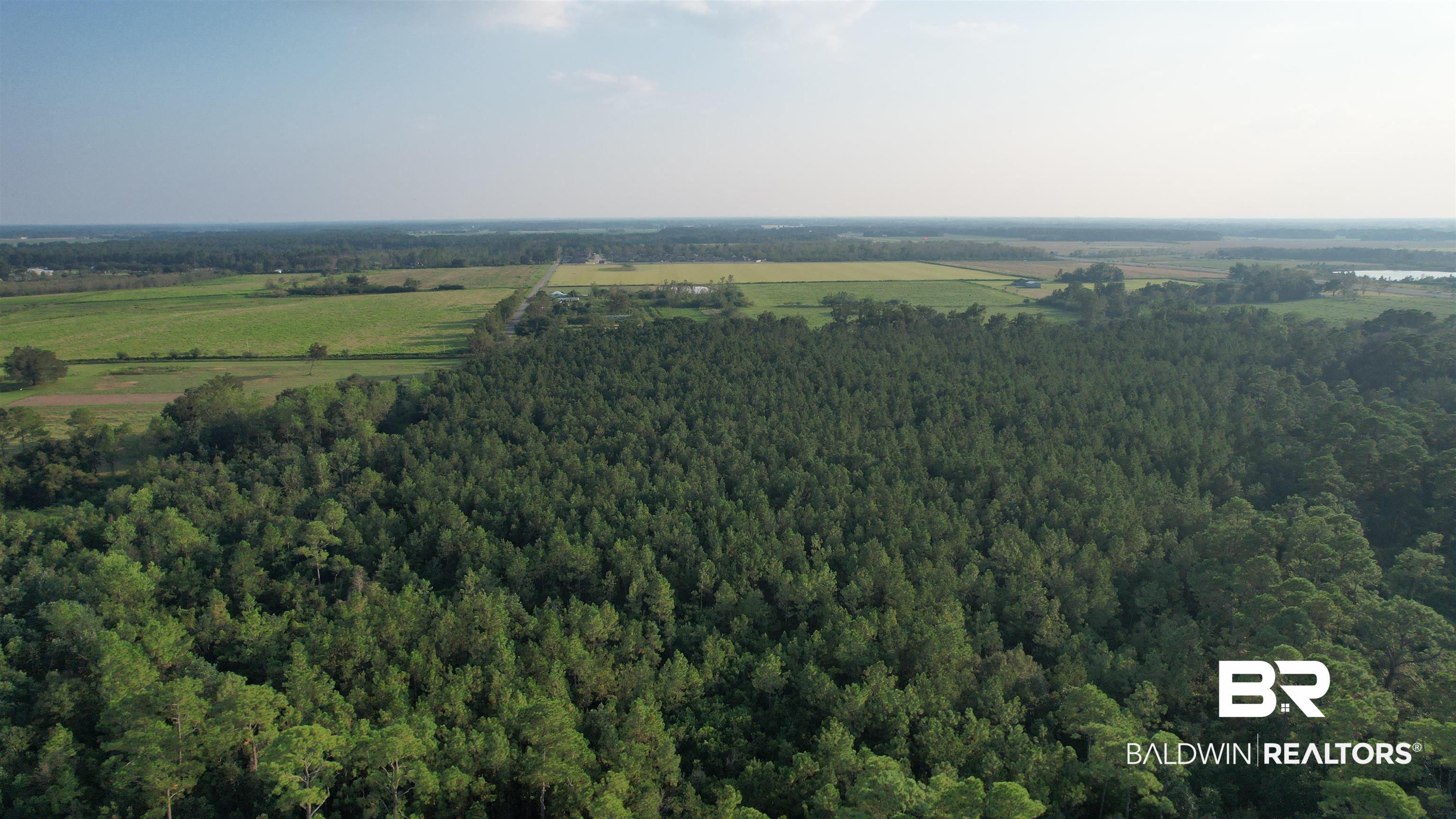 0 Lehman Road Summerdale, AL 36580 - Photo 5 of 5