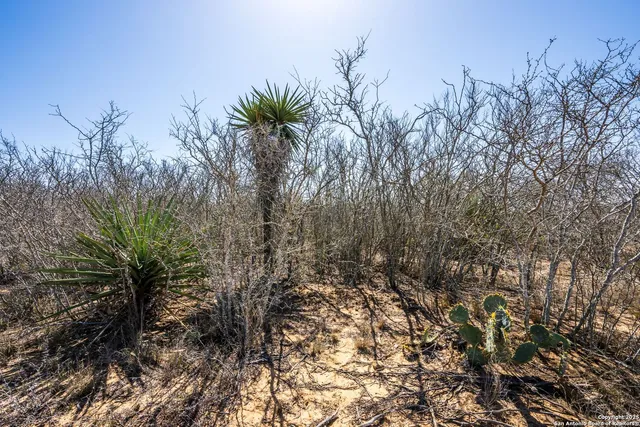 $110,000 | Fm 2779 County Road 2530, Moore, TX 78057