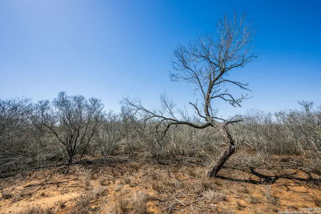 $110,000 | Fm 2779 County Road 2530, Moore, TX 78057