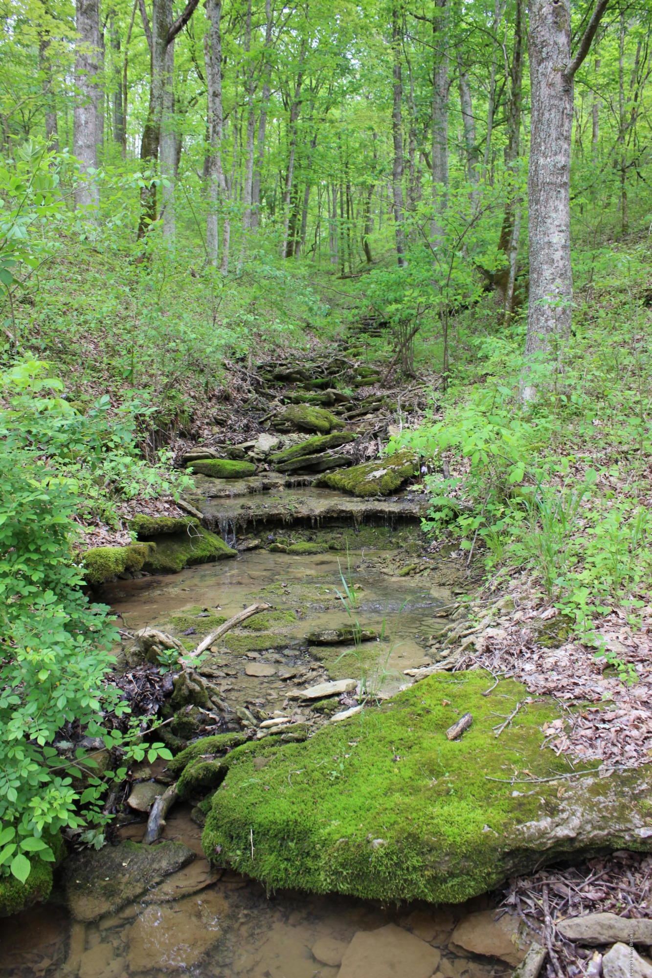 2801 Pattons Creek Road Pendleton, KY 40055 - Photo 65 of 79 IMG_0082