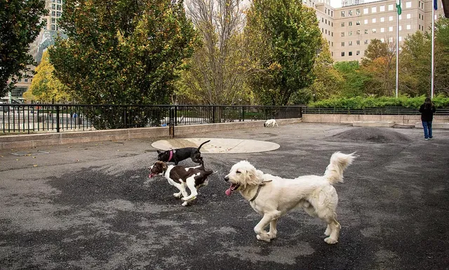 $10,680 | 385 South End Avenue, Unit 4C | Battery Park City