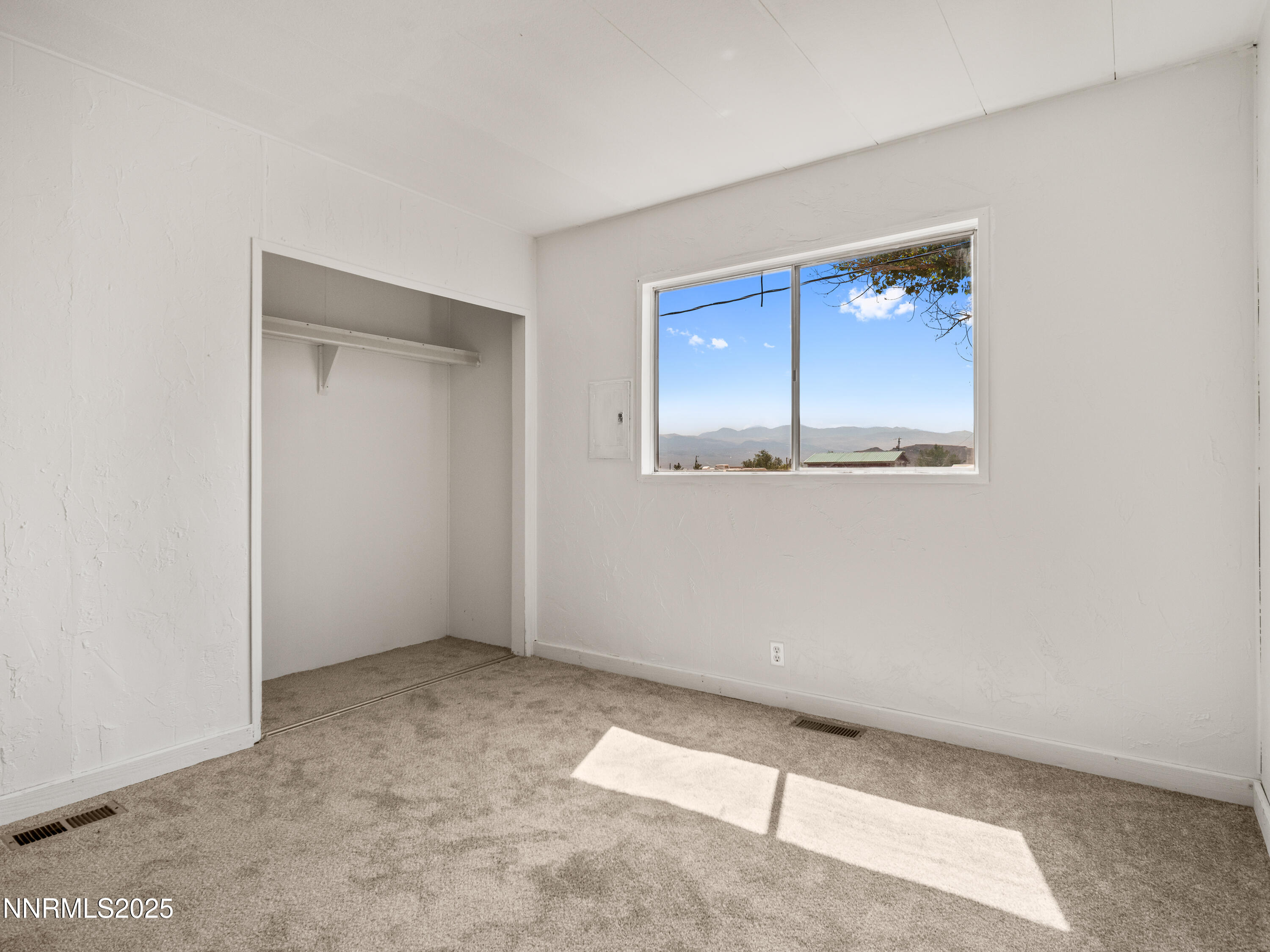 3785 Granite Way Topaz Ranch Estates, NV 89444 - Photo 25 of 50 Photo-8