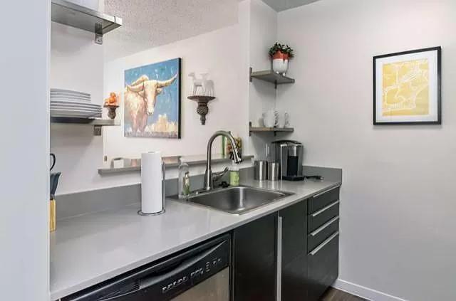 1915 Fairlawn Lane, Unit 2 Austin, TX 78704 - Photo 5 of 12 Kitchen with open shelves, stainless steel dishwasher, dark cabinets, dark wood-style floors, and a textured ceiling