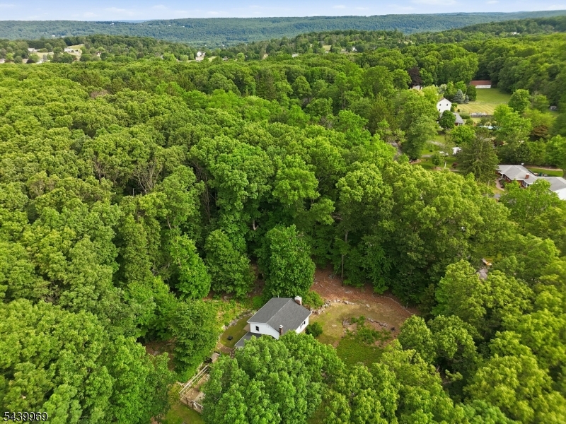 223 Beacon Hill Road Califon, NJ 07830 - Photo 6 of 49