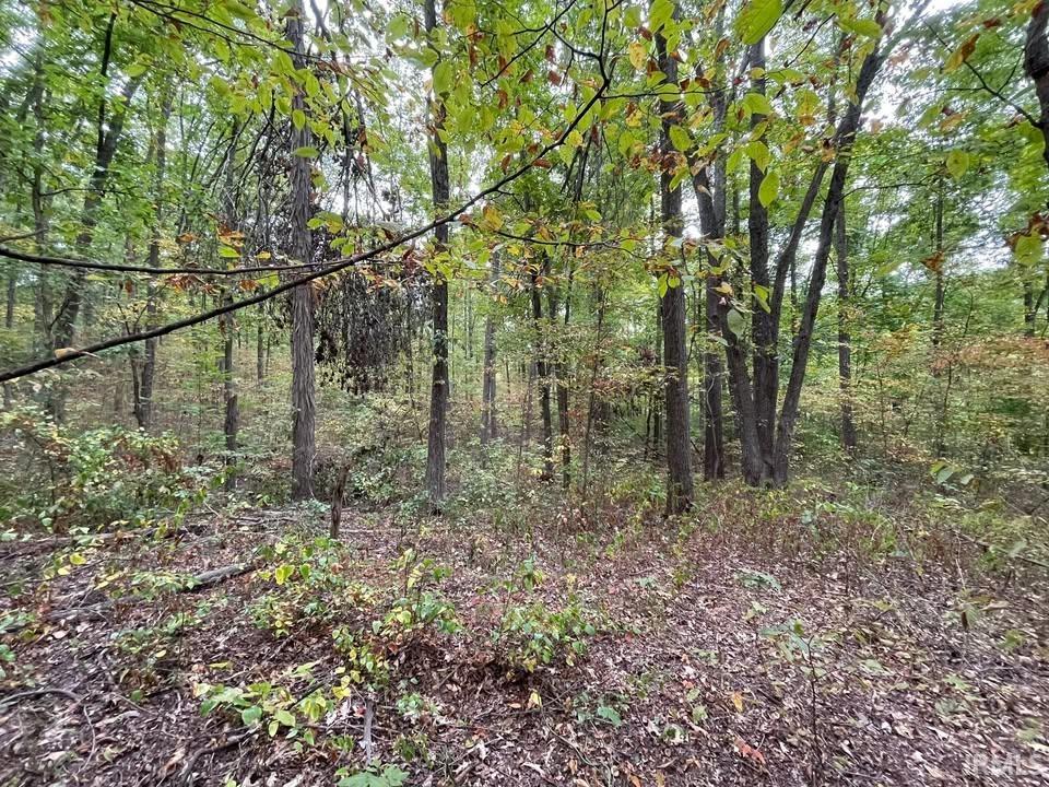 8237 North Fire Station Road Bloomfield, IN 47424 - Photo 14 of 24 Gallery Image 14