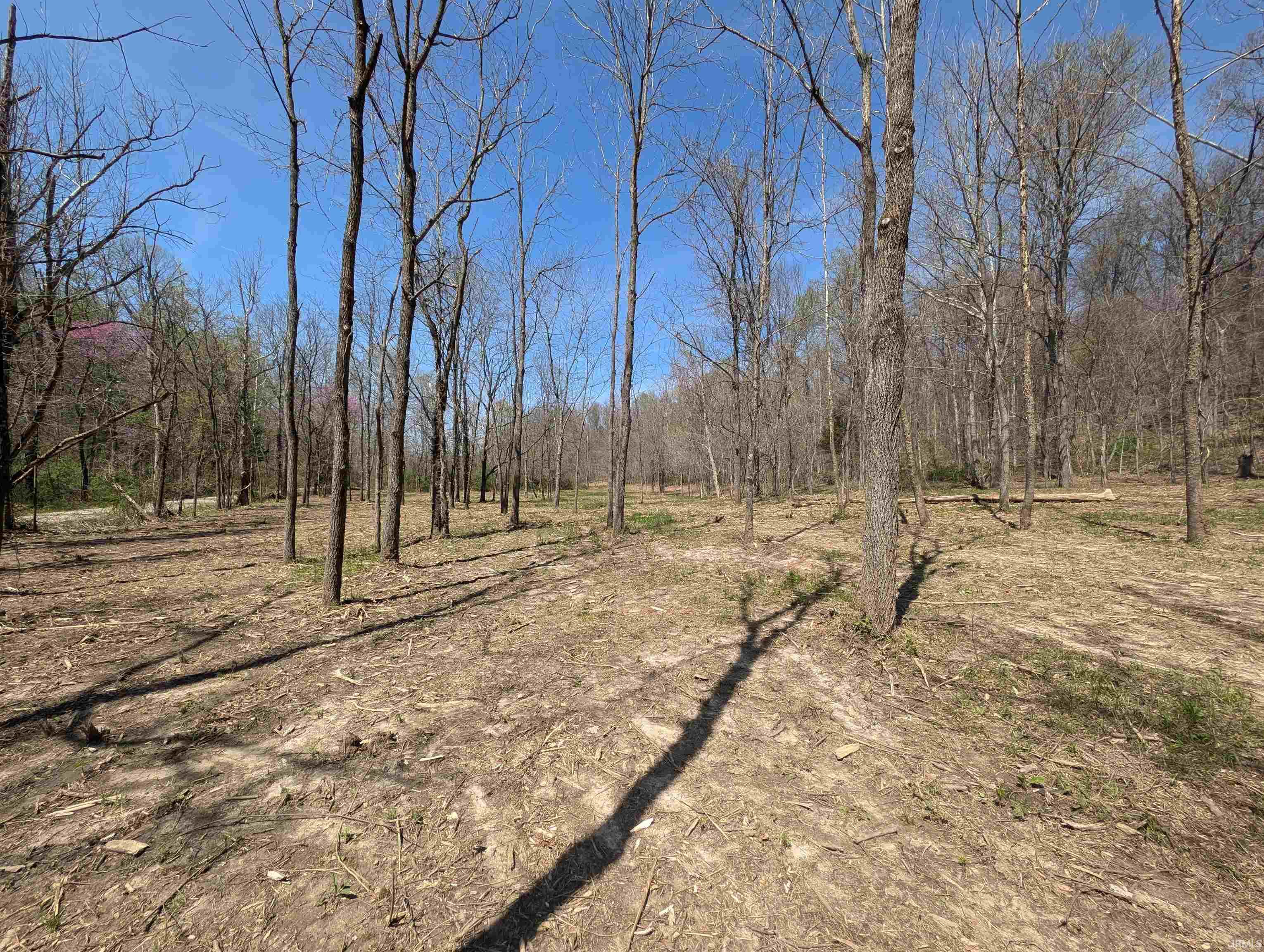 8237 North Fire Station Road Bloomfield, IN 47424 - Photo 23 of 24 Gallery Image 23