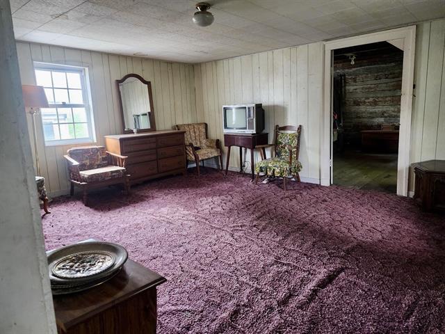 5255 Wilderness Road Dublin, VA 24084 - Photo 5 of 35 424020-6c10225e-3a4c-4a89-bde4-e8b00bff0