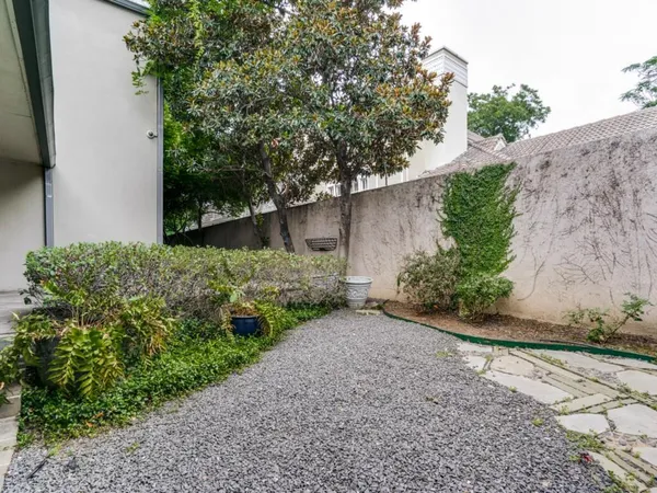 a view of a backyard with plants