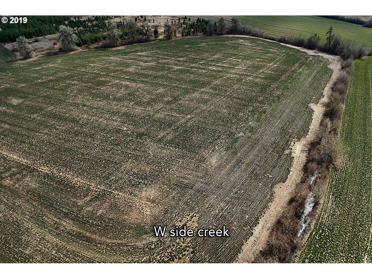 24450 Red Prairie Road Sheridan, OR 97378 - Photo 12 of 32