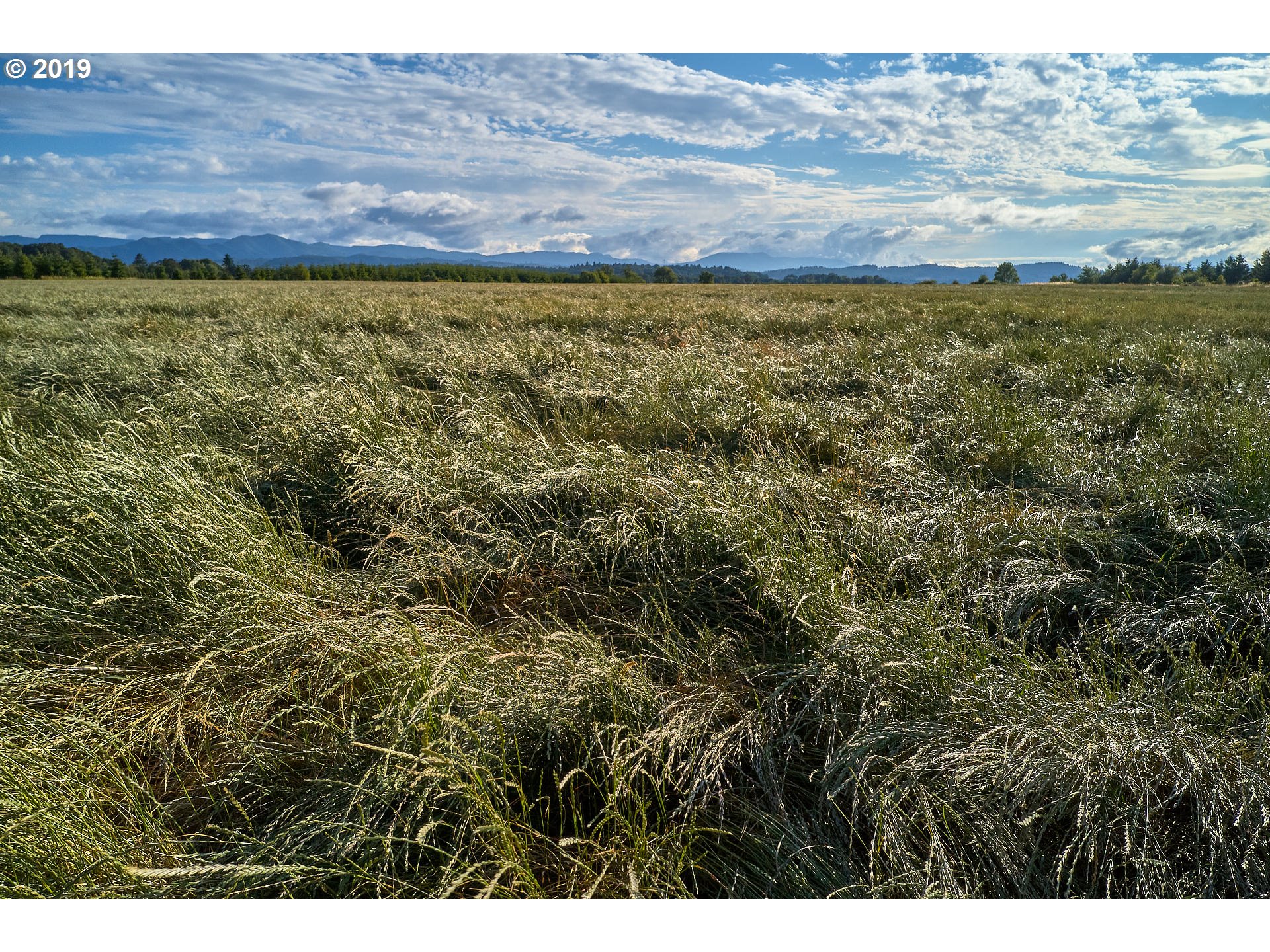 24450 Red Prairie Road Sheridan, OR 97378 - Photo 16 of 32