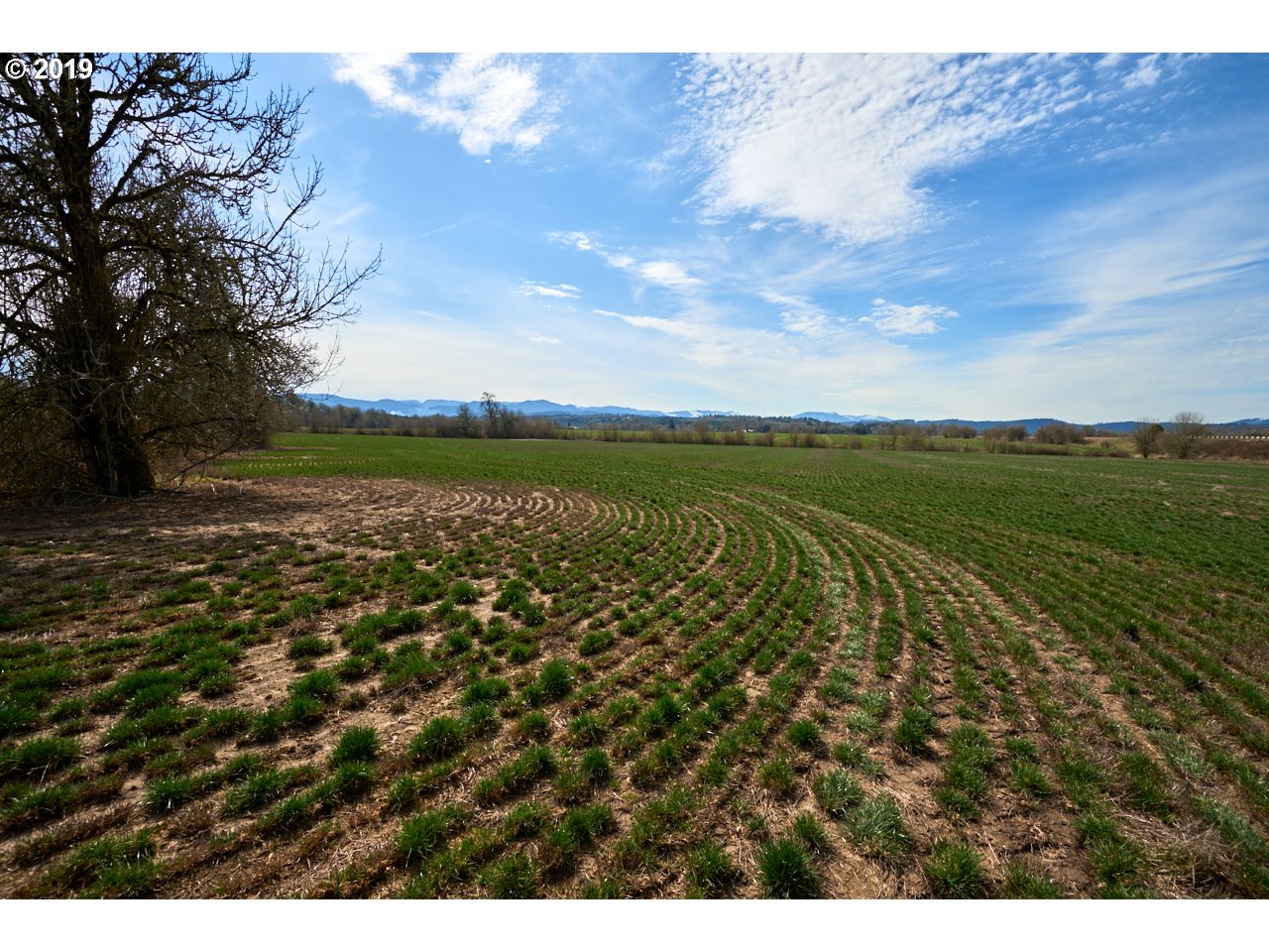 24450 Red Prairie Road Sheridan, OR 97378 - Photo 20 of 32