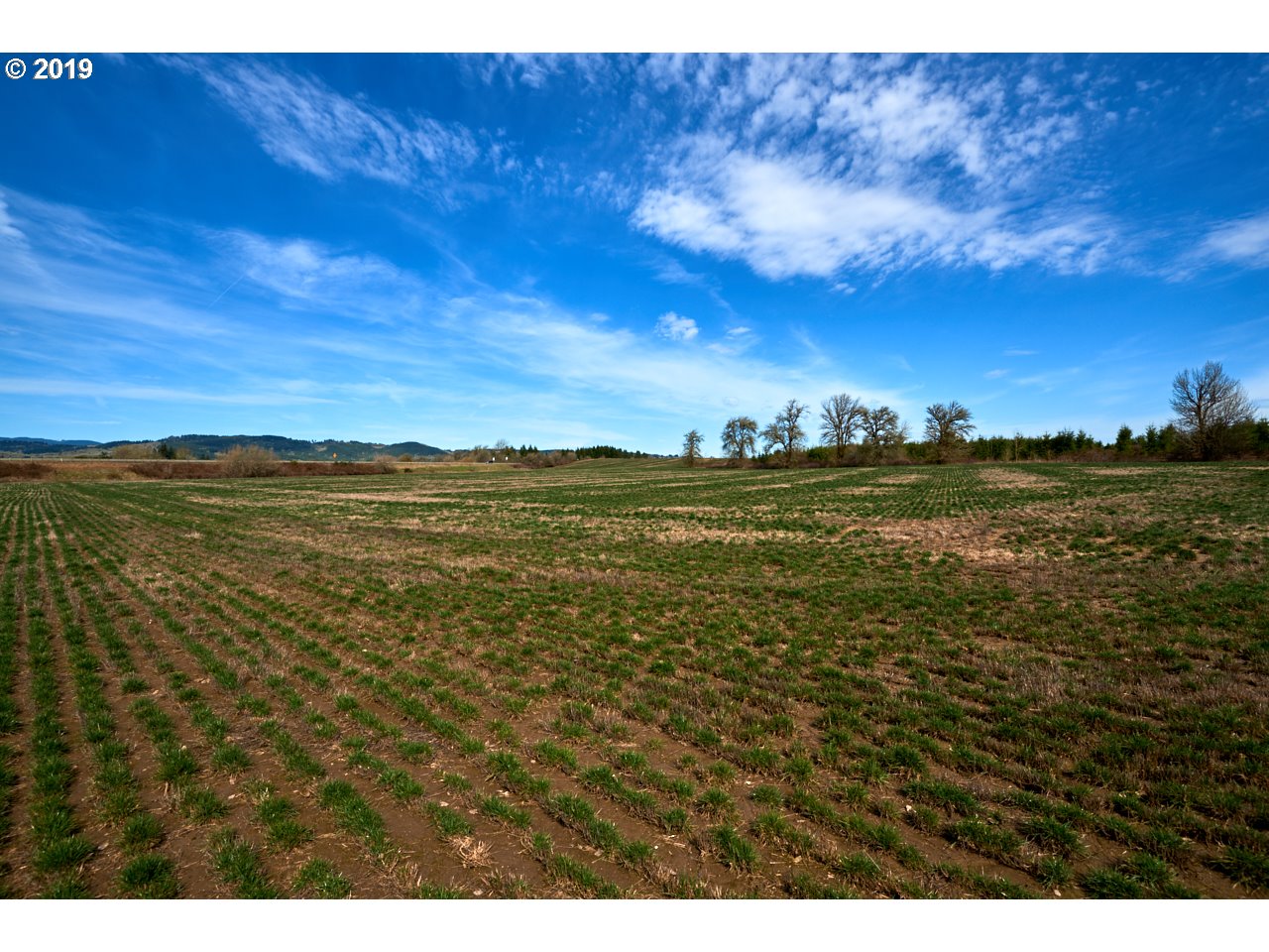 24450 Red Prairie Road Sheridan, OR 97378 - Photo 21 of 32