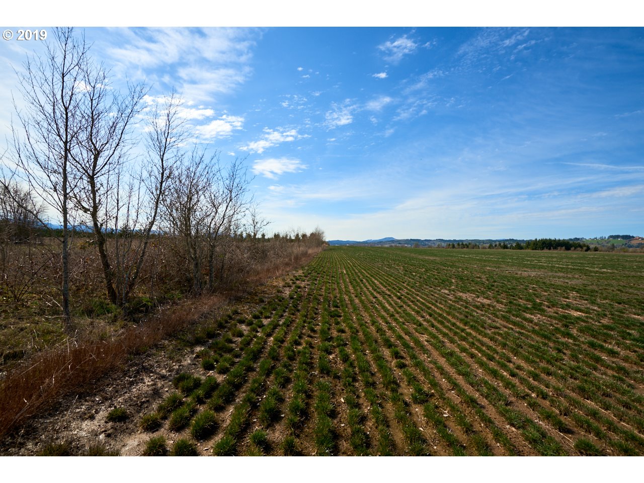 24450 Red Prairie Road Sheridan, OR 97378 - Photo 22 of 32