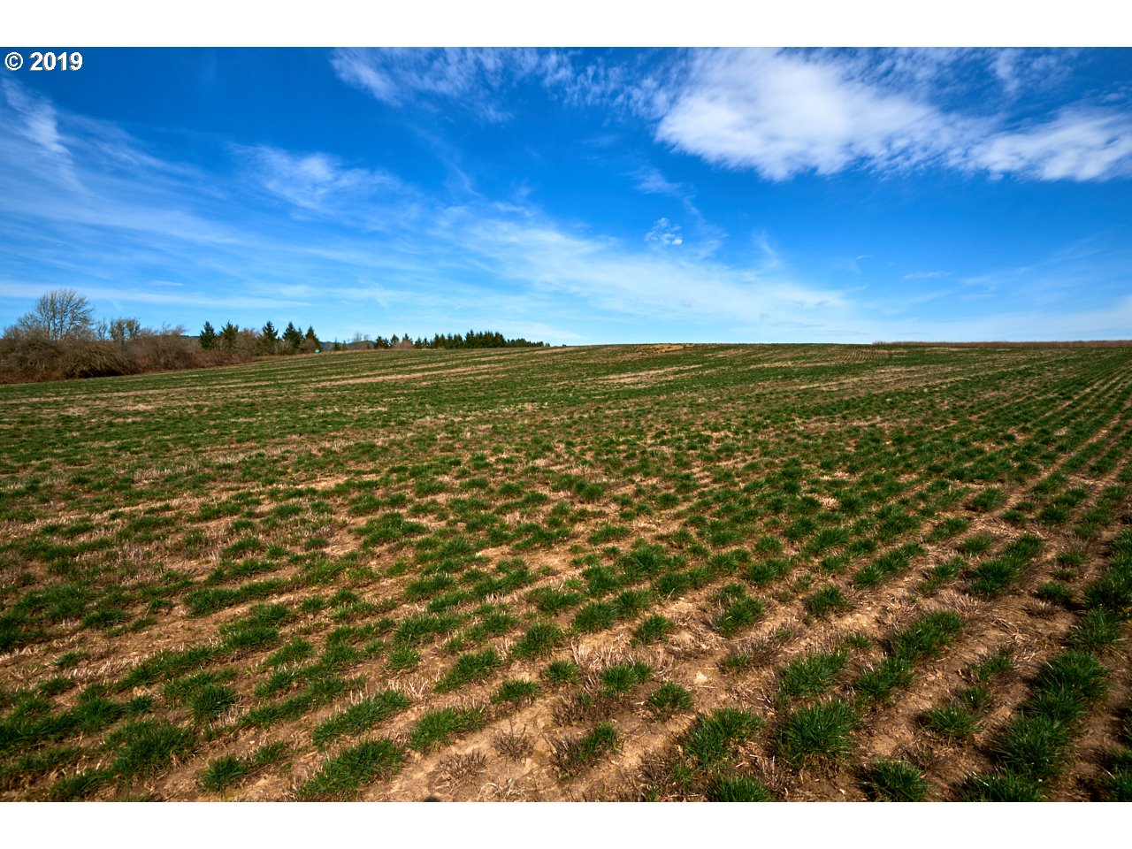 24450 Red Prairie Road Sheridan, OR 97378 - Photo 24 of 32