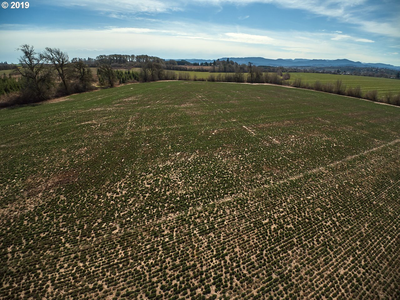24450 Red Prairie Road Sheridan, OR 97378 - Photo 30 of 32