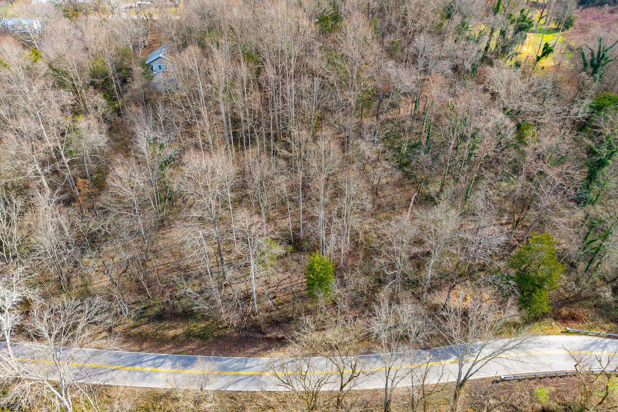 0 North Main Street Sparta, TN 38583 - Photo 3 of 22