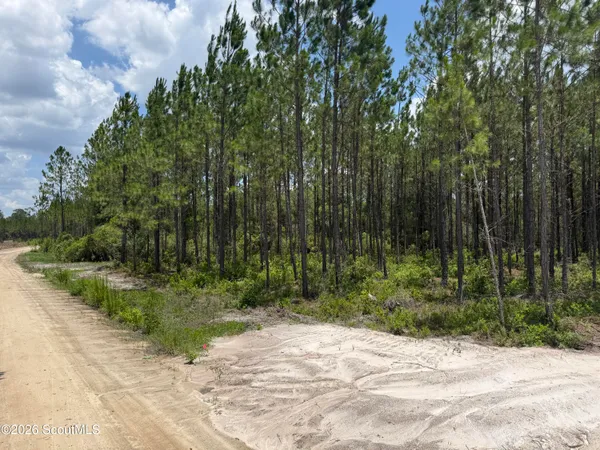 $45,000 | Lot 5 Corbitt Road, Unit LOT 5, Manor, GA 31550