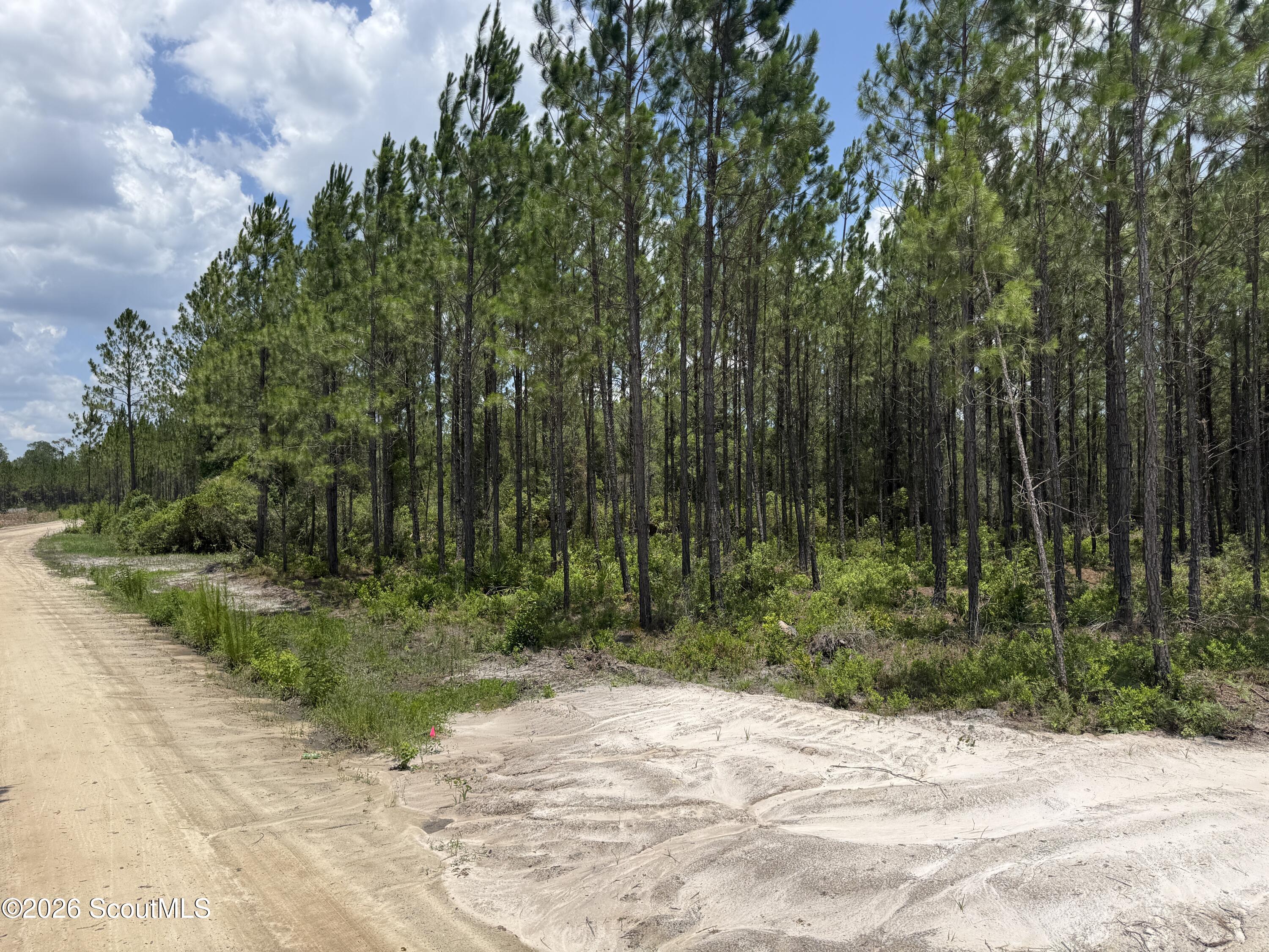 Lot 5 Corbitt Road, Unit LOT 5 Manor, GA 31550 - Photo 1 of 11 IMG_8002
