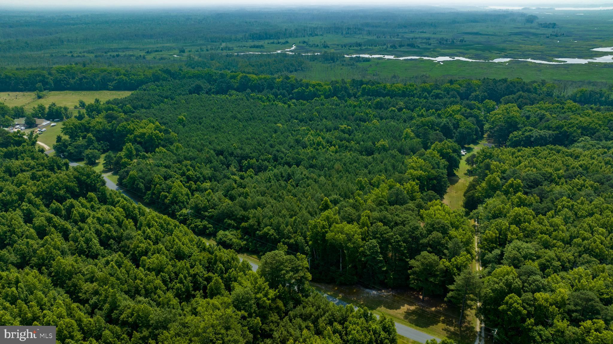 0 Jesterville Road Bivalve, MD 21814 - Photo 21 of 25 an aerial view of residential houses with outdoor space and trees