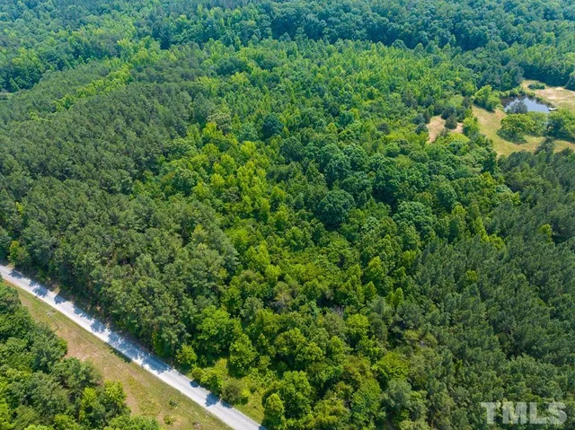 a view of a lush green forest with lots of trees