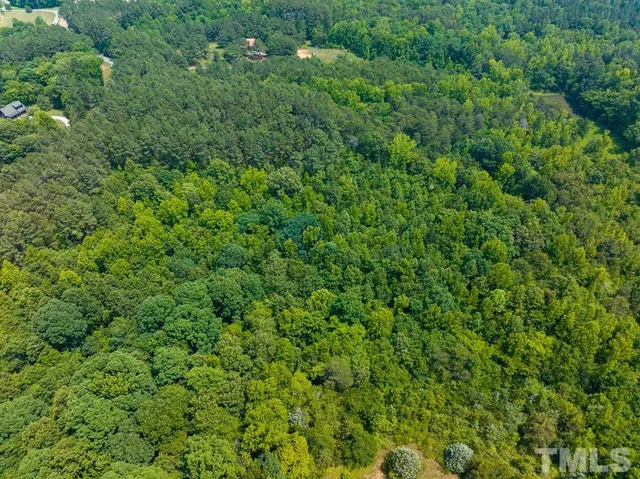 a picture of a bench in a field