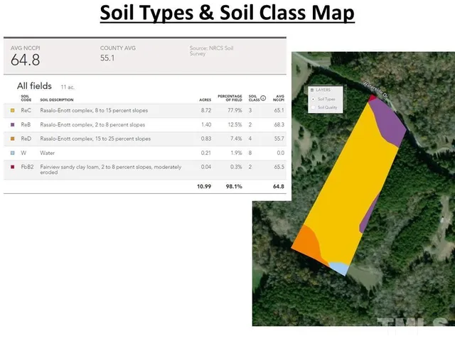 a view of a lush green forest with lots of trees