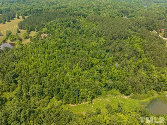 a view of a field with an ocean