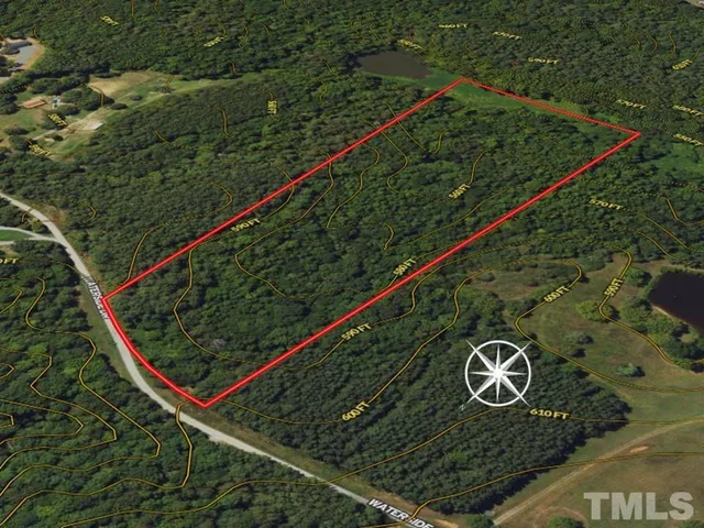 a view of a forest with a lake