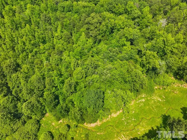 a view of a lush green space