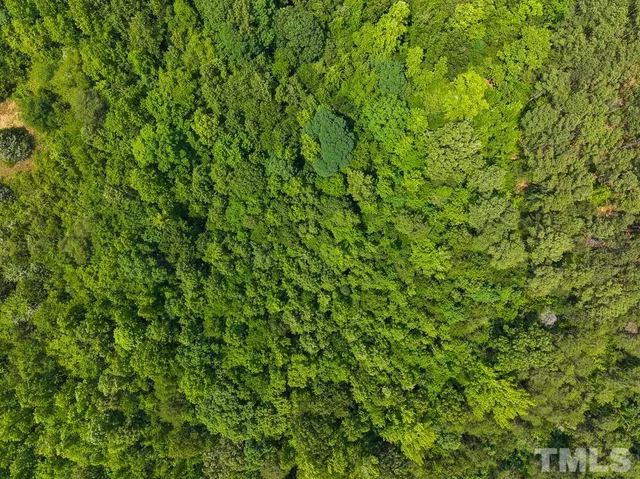 a view of a bunch of trees