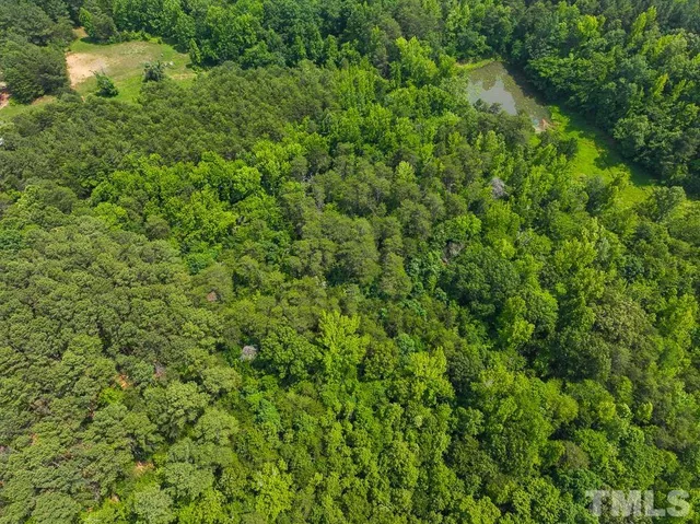 a view of a big yard with plants and large trees