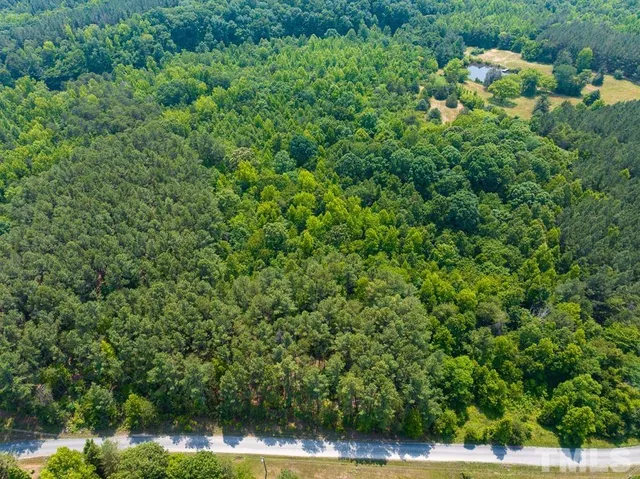 a view of a lush green forest