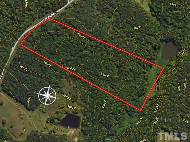 a view of a lush green forest with lawn chairs