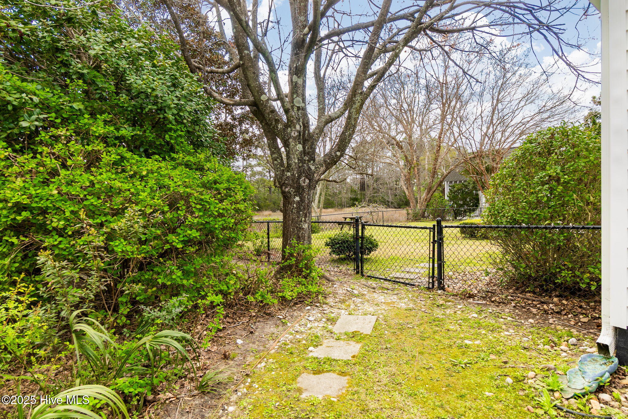 111 Plantation Circle Beaufort, NC 28516 - Photo 38 of 62 Fenced area