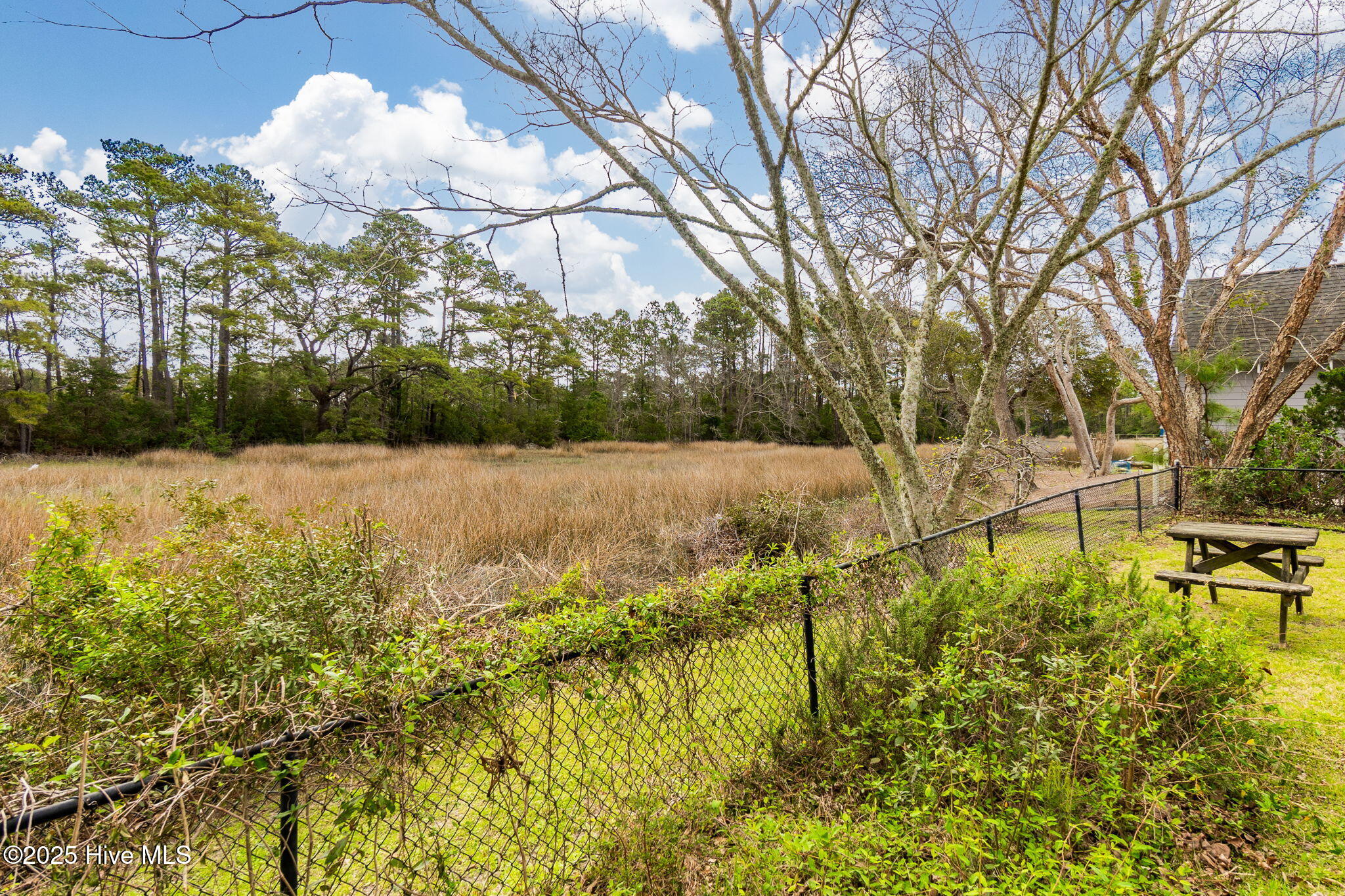 111 Plantation Circle Beaufort, NC 28516 - Photo 41 of 62 Turner's Creek marsh