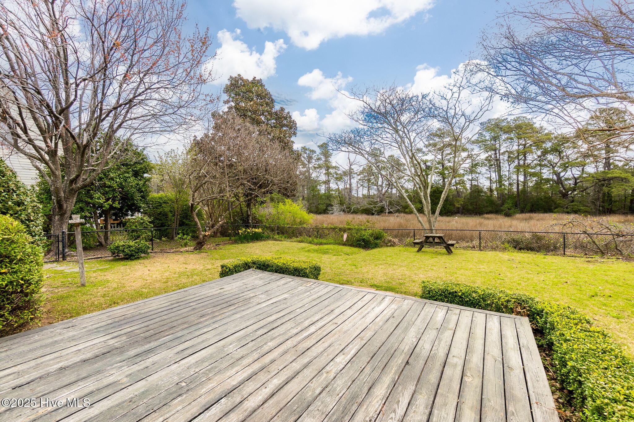 111 Plantation Circle Beaufort, NC 28516 - Photo 42 of 62 beautiful backyard