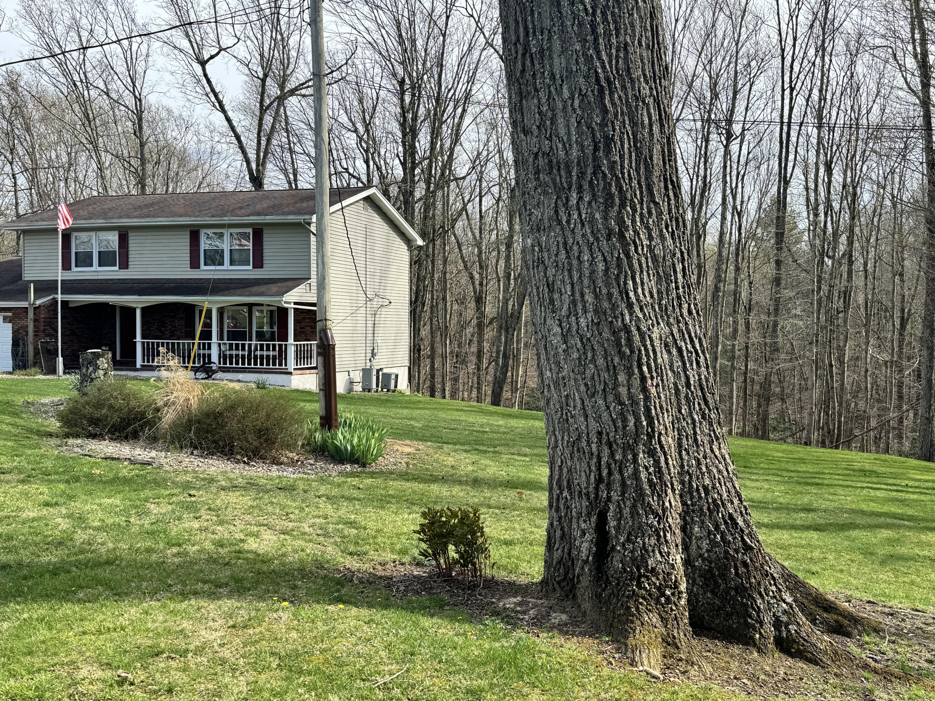 95 Rusty Road Nettie, WV 26681 - Photo 40 of 60 Gallery Image 40