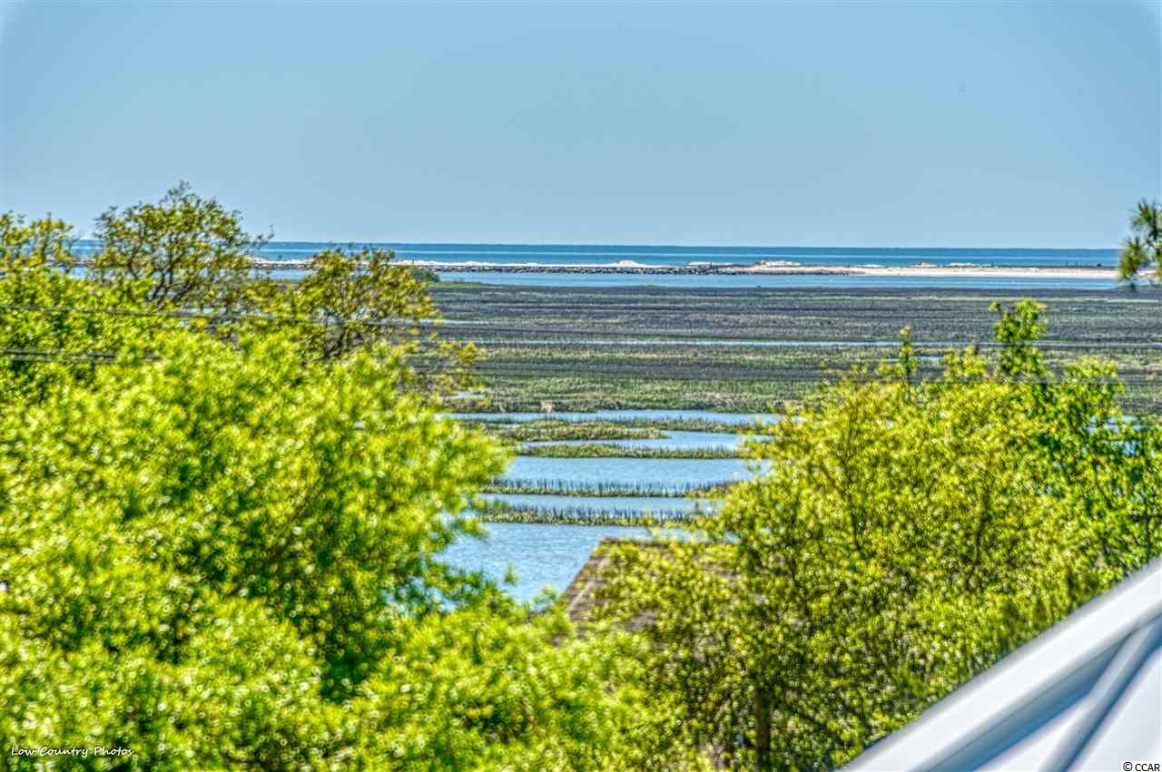 7 Cottage Drive Murrells Inlet, SC 29576 - Photo 27 of 40