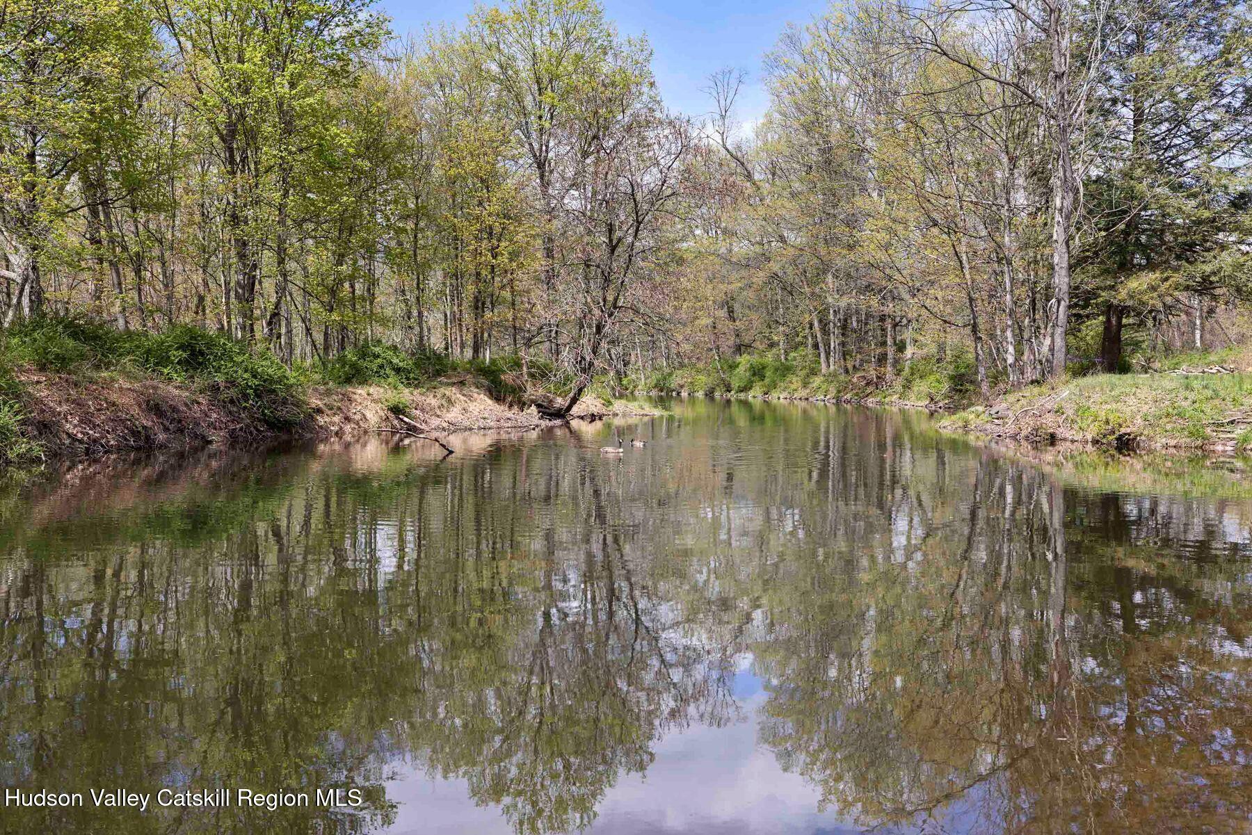 294 Fish Creek Road Saugerties, NY 12477 - Photo 46 of 55 photo_online_021